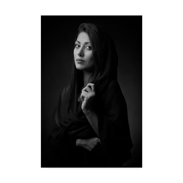 Mehdi Mokhtari 'Shima' Canvas Art, 30x47, Trademark Fine Art, Mfr#: 1X06577-C3047GG